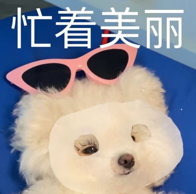 说冬日毛孩子用品就直接哈特暖暖～凯发k8国际厅登录一想到接下来要(图3)
