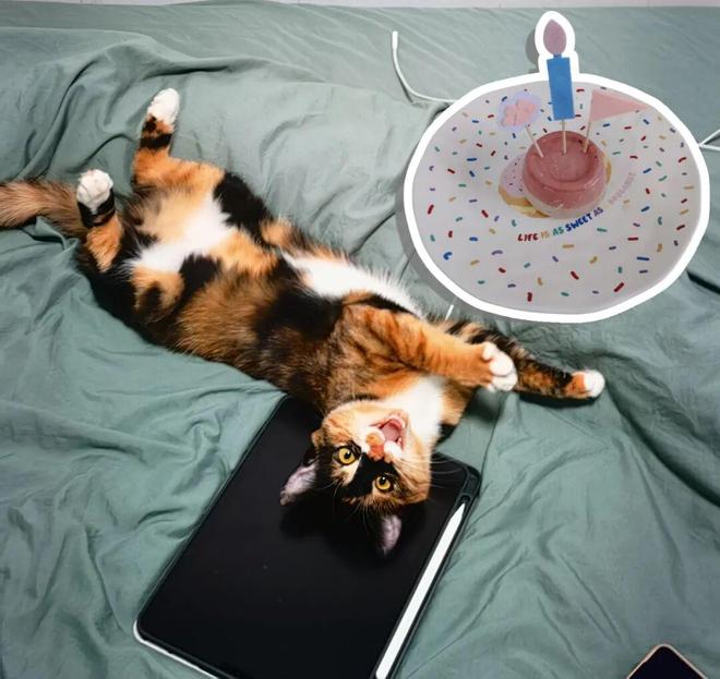 没讲这么高兴的事儿了凯发k8网站登录好久(图4) 没讲这么高兴的事儿了凯发k8网站登录好久(图4)